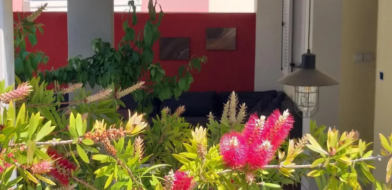 Holiday Homes Mare Premantura